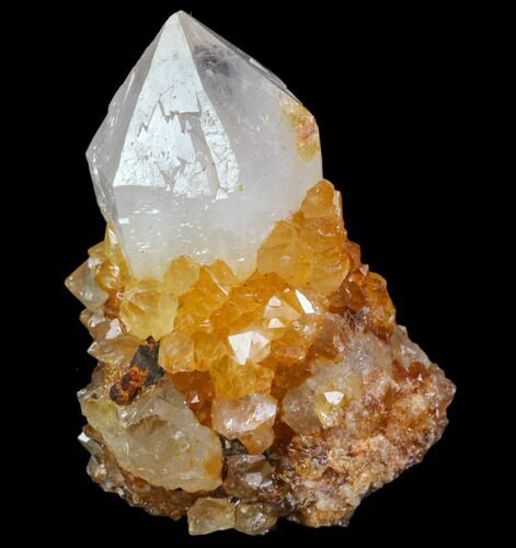 Sunshine Cactus Quartz Crystal - South Africa #80220